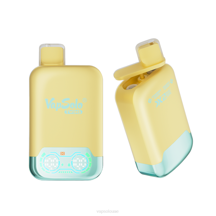 VapSolo TWINS vape القابل للتصرف | Vapsolo Wholesale 6B4L31 الأناناس وجوز الهند والفراولة والموز